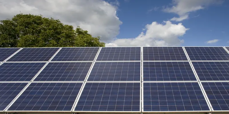 Forestry England renewable energy